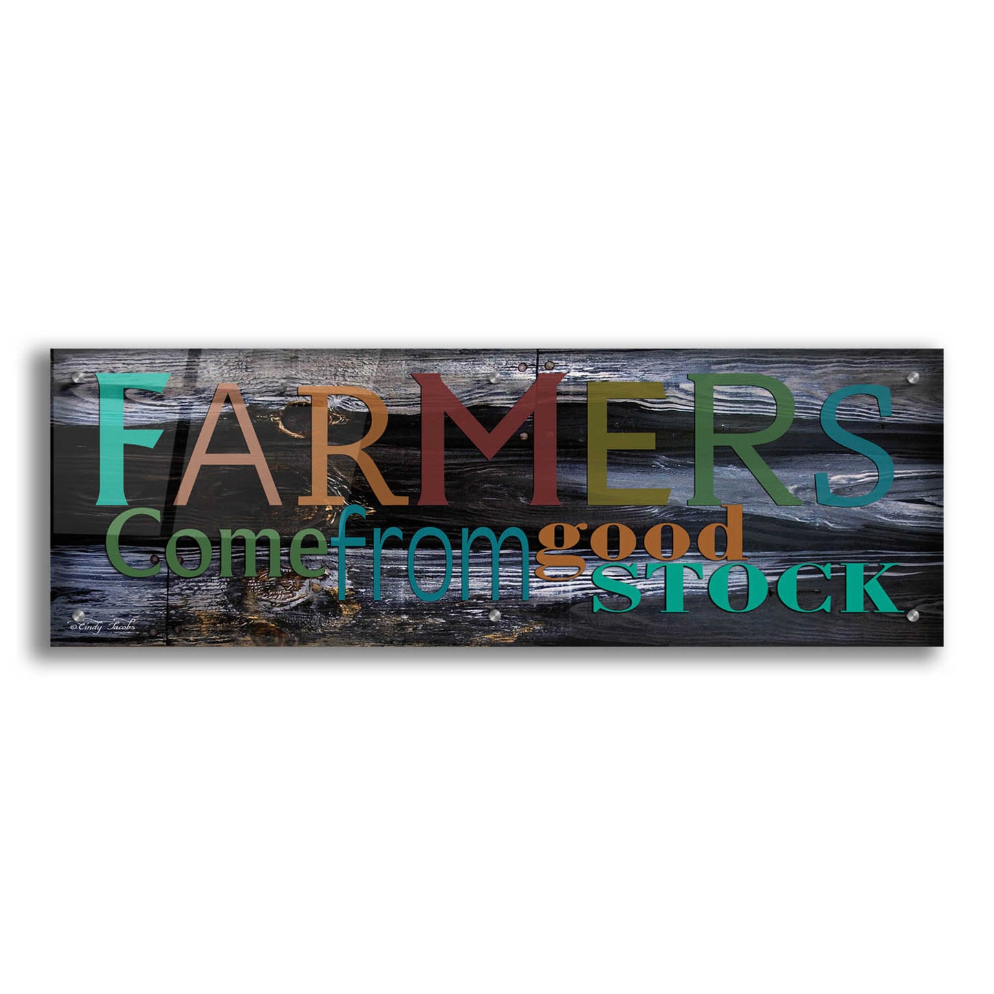 Epic Art 'Farmer's Come from Good Stock' by Cindy Jacobs, Acrylic Glass Wall Art,36x12