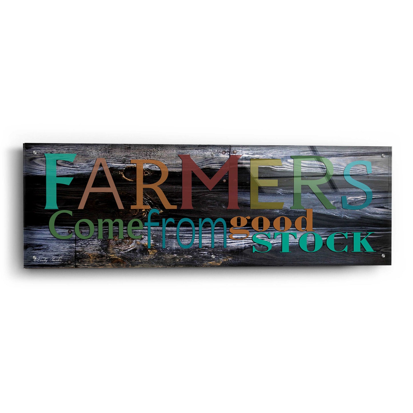 Epic Art 'Farmer's Come from Good Stock' by Cindy Jacobs, Acrylic Glass Wall Art,48x16