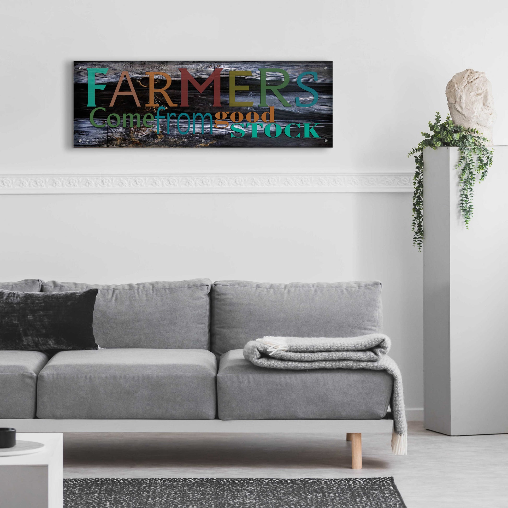 Epic Art 'Farmer's Come from Good Stock' by Cindy Jacobs, Acrylic Glass Wall Art,48x16