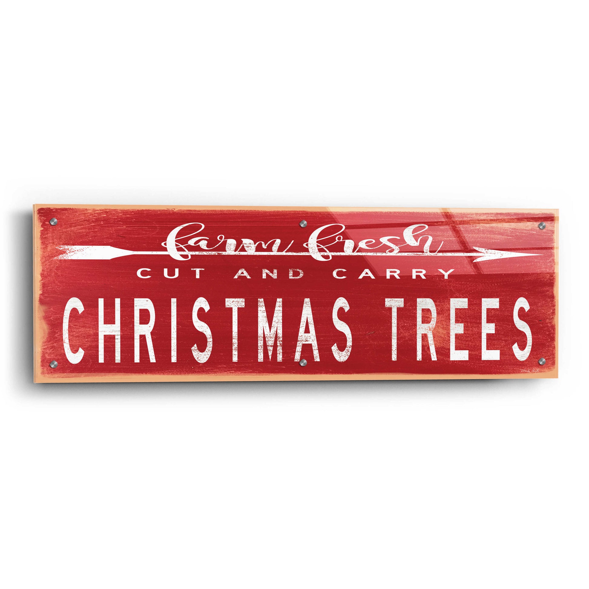 Epic Art 'Christmas Trees Sign' by Cindy Jacobs, Acrylic Glass Wall Art,36x12