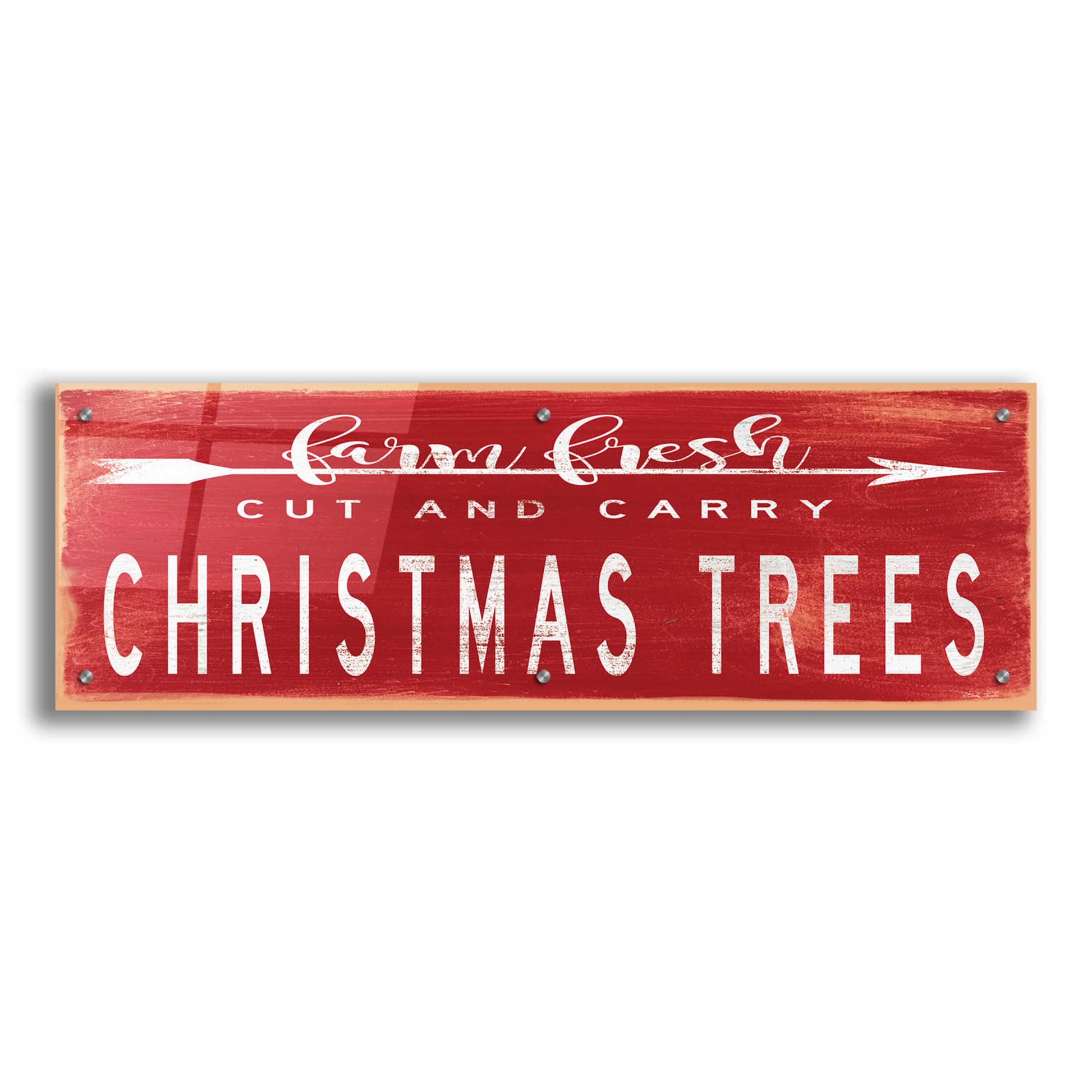 Epic Art 'Christmas Trees Sign' by Cindy Jacobs, Acrylic Glass Wall Art,36x12