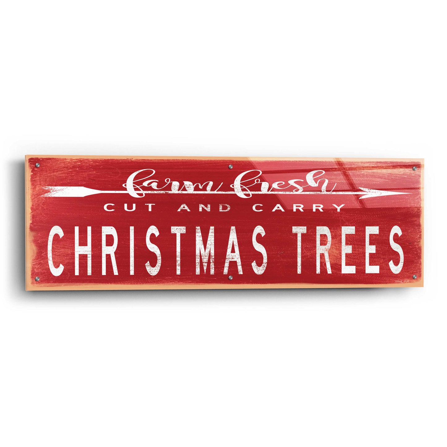 Epic Art 'Christmas Trees Sign' by Cindy Jacobs, Acrylic Glass Wall Art,48x16