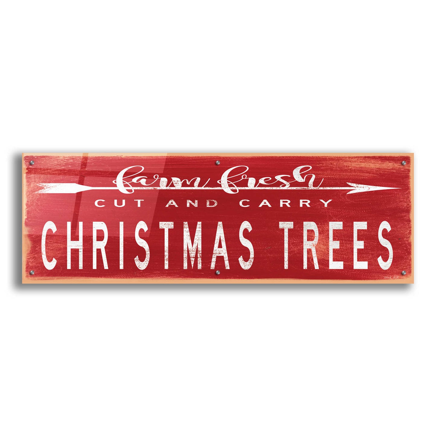 Epic Art 'Christmas Trees Sign' by Cindy Jacobs, Acrylic Glass Wall Art,48x16