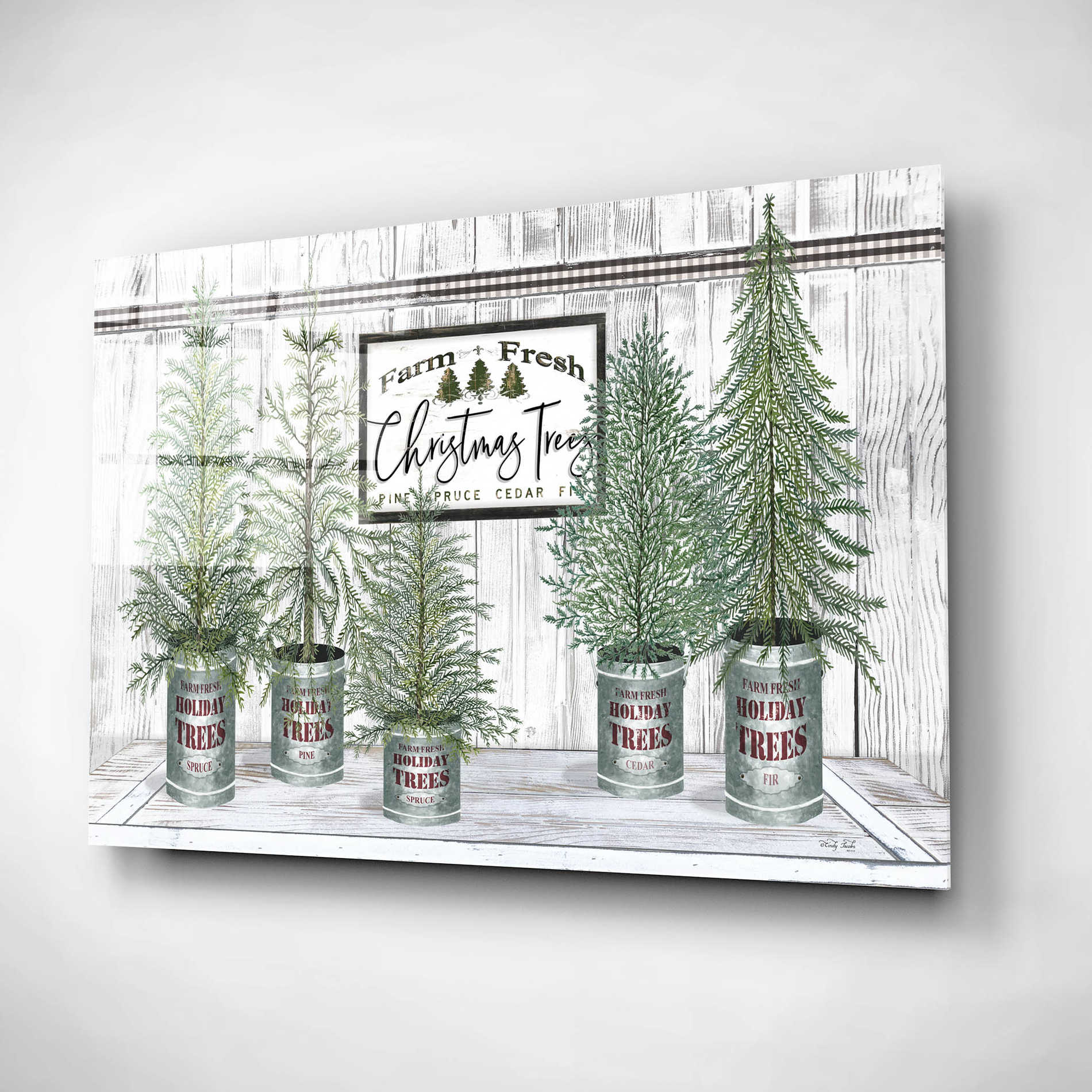 Epic Art 'Galvanized Pots White Christmas Trees II' by Cindy Jacobs, Acrylic Glass Wall Art,16x12