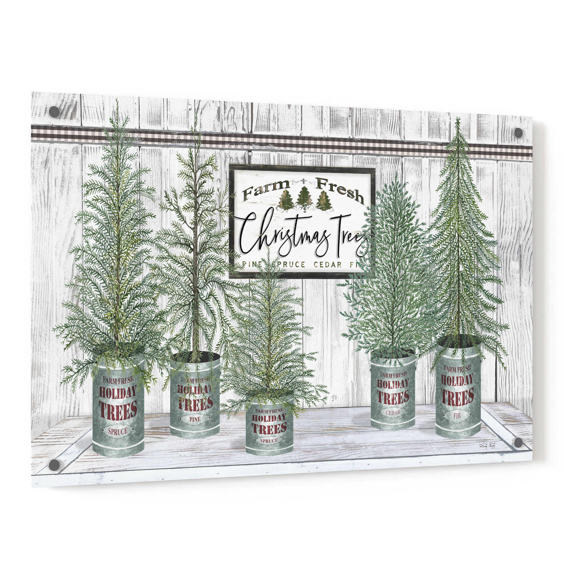 Epic Art 'Galvanized Pots White Christmas Trees II' by Cindy Jacobs, Acrylic Glass Wall Art,36x24