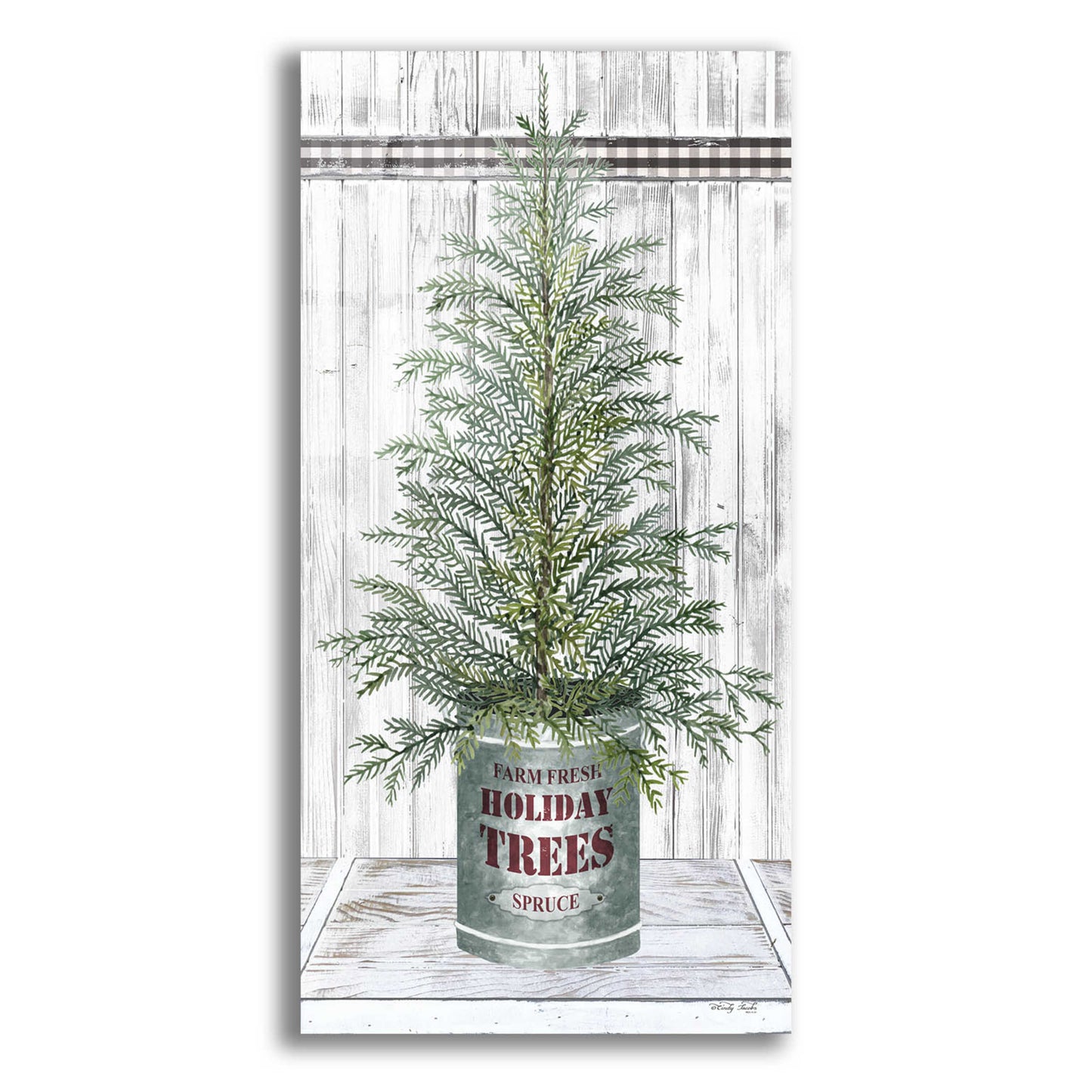 Epic Art 'Galvanized Pot Spruce' by Cindy Jacobs, Acrylic Glass Wall Art,12x24
