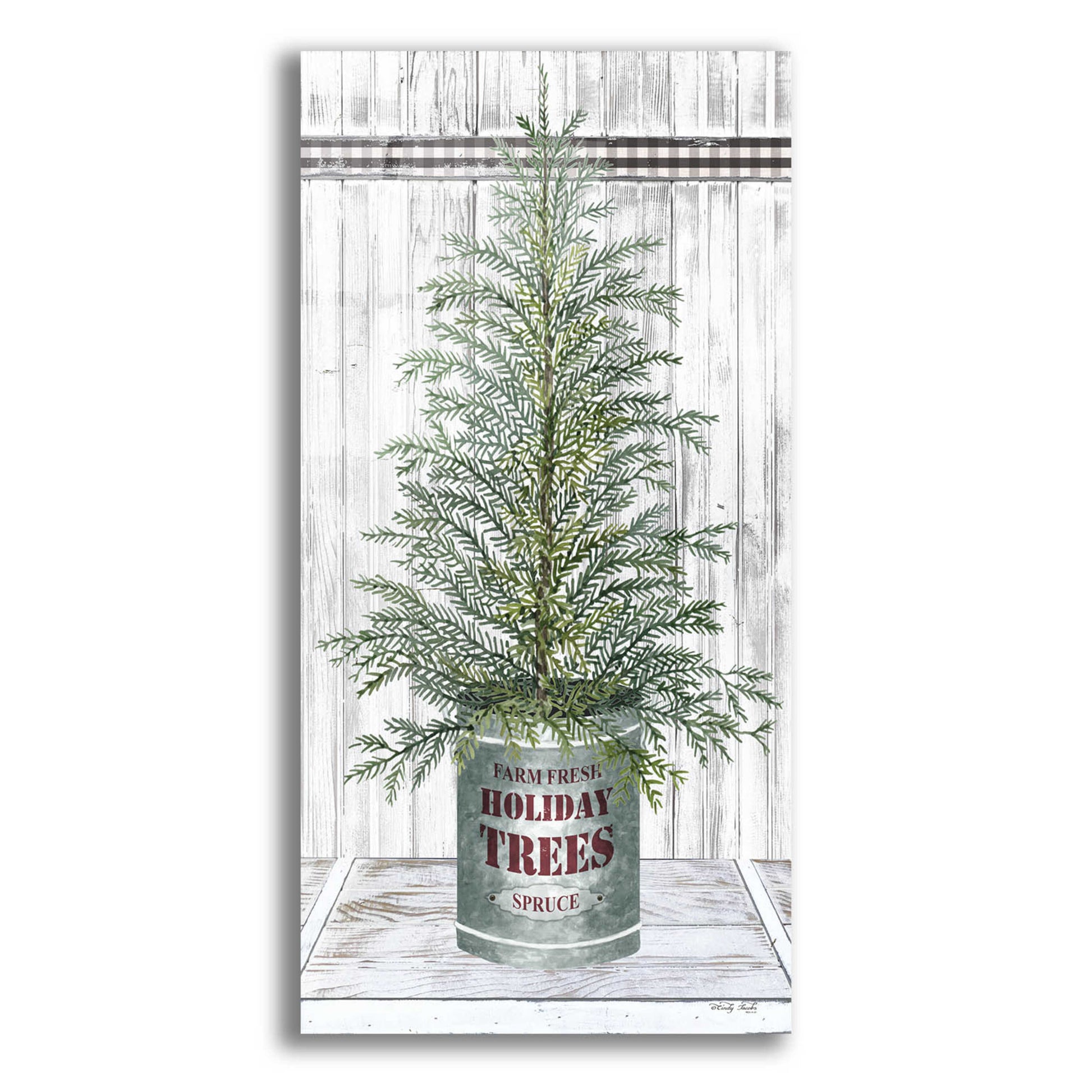 Epic Art 'Galvanized Pot Spruce' by Cindy Jacobs, Acrylic Glass Wall Art,12x24