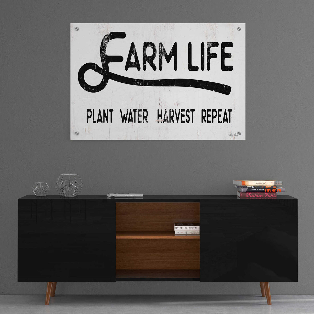 Epic Art 'Farm Life' by Cindy Jacobs, Acrylic Glass Wall Art,36x24