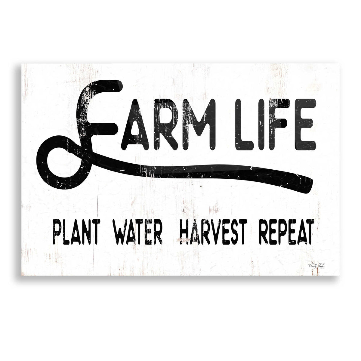 Epic Art 'Farm Life' by Cindy Jacobs, Acrylic Glass Wall Art