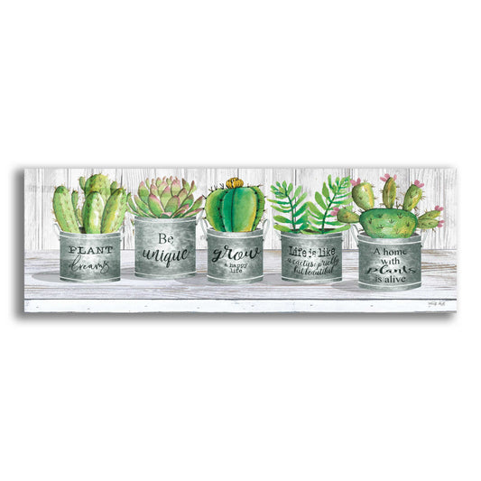 Epic Art 'Galvanized Pot Succulents I' by Cindy Jacobs, Acrylic Glass Wall Art