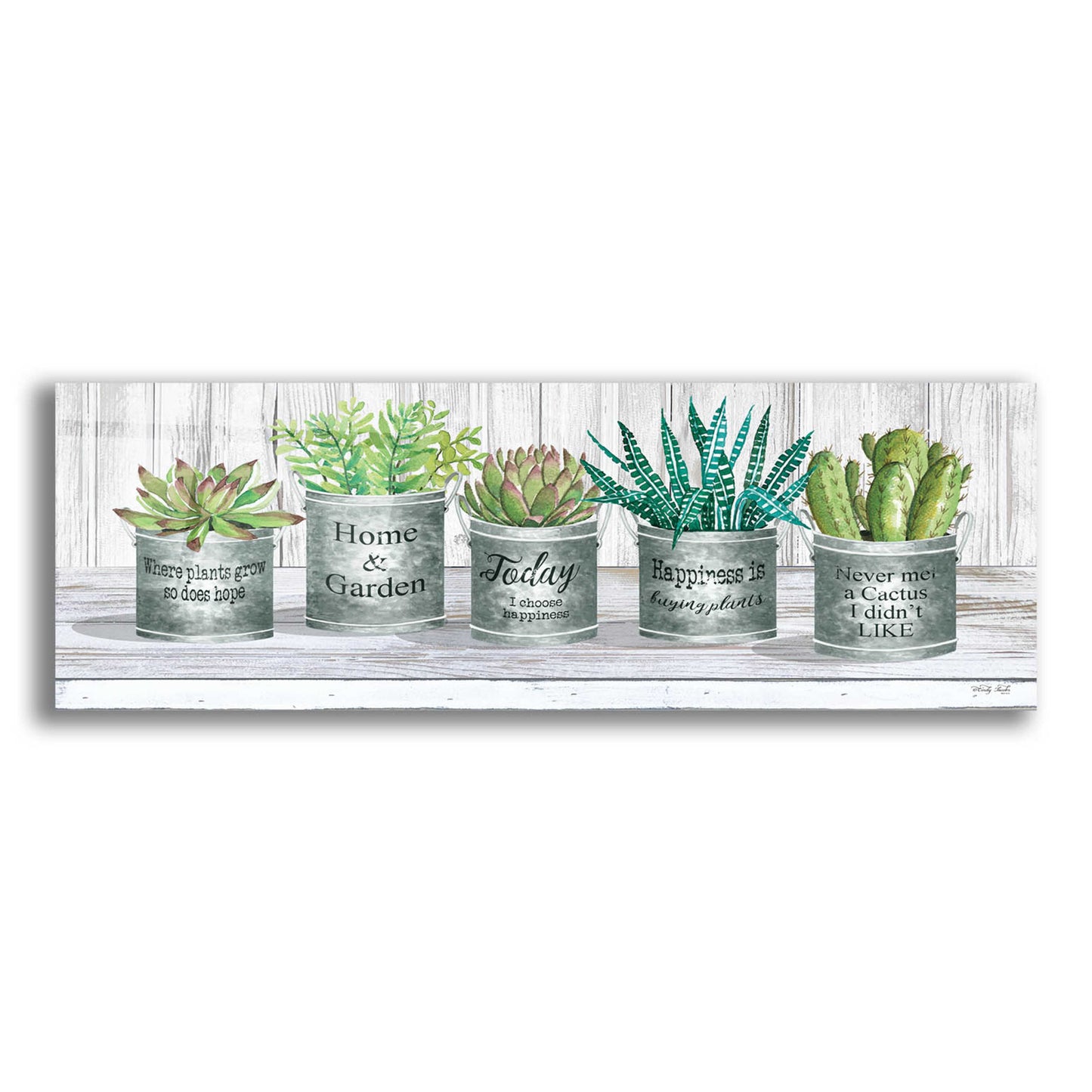 Epic Art 'Galvanized Pot Succulents II' by Cindy Jacobs, Acrylic Glass Wall Art