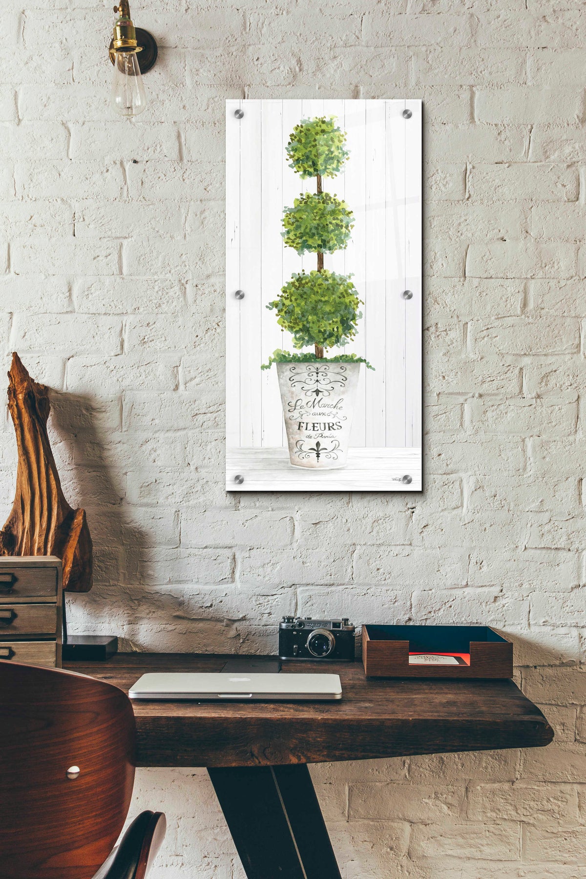 Epic Art 'Magnificent Topiary I' by Cindy Jacobs, Acrylic Glass Wall Art,12x24