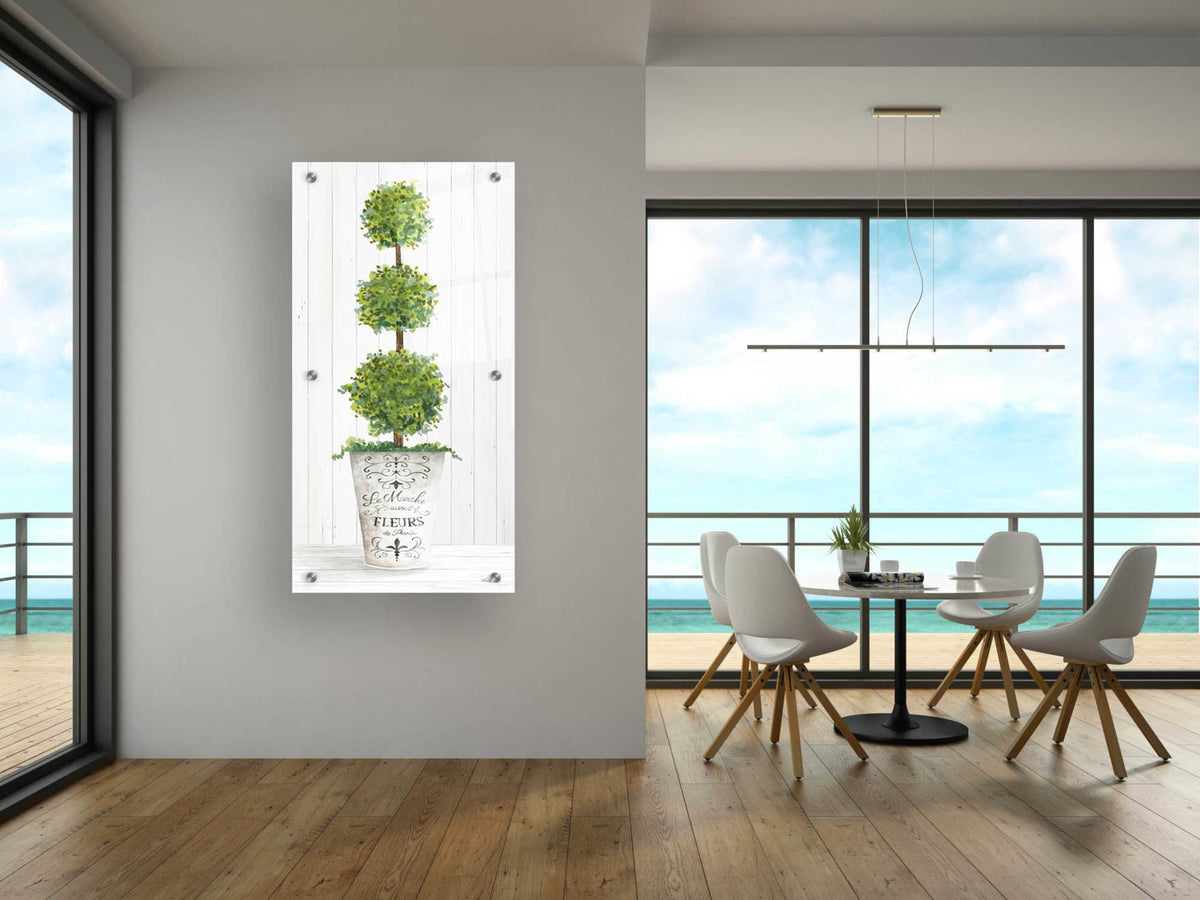 Epic Art 'Magnificent Topiary I' by Cindy Jacobs, Acrylic Glass Wall Art,24x48