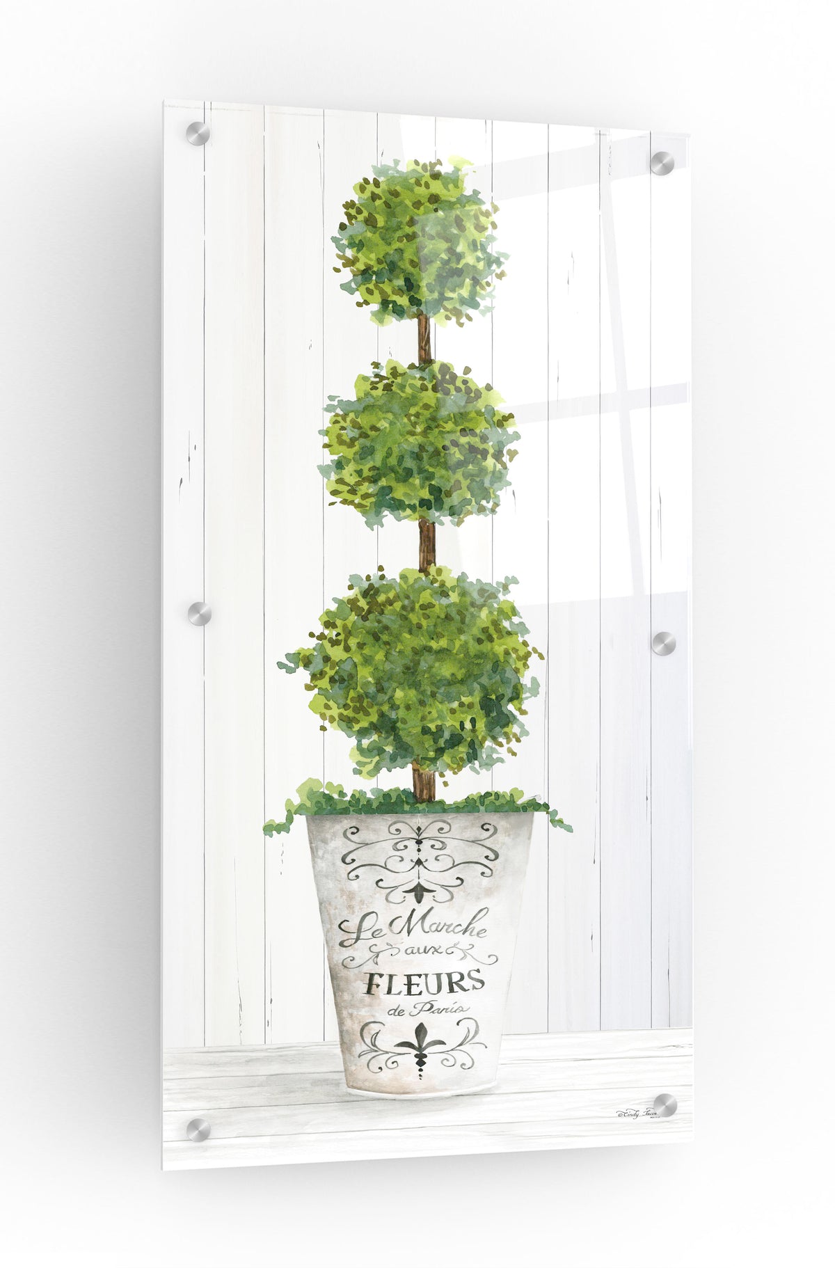 Epic Art 'Magnificent Topiary I' by Cindy Jacobs, Acrylic Glass Wall Art