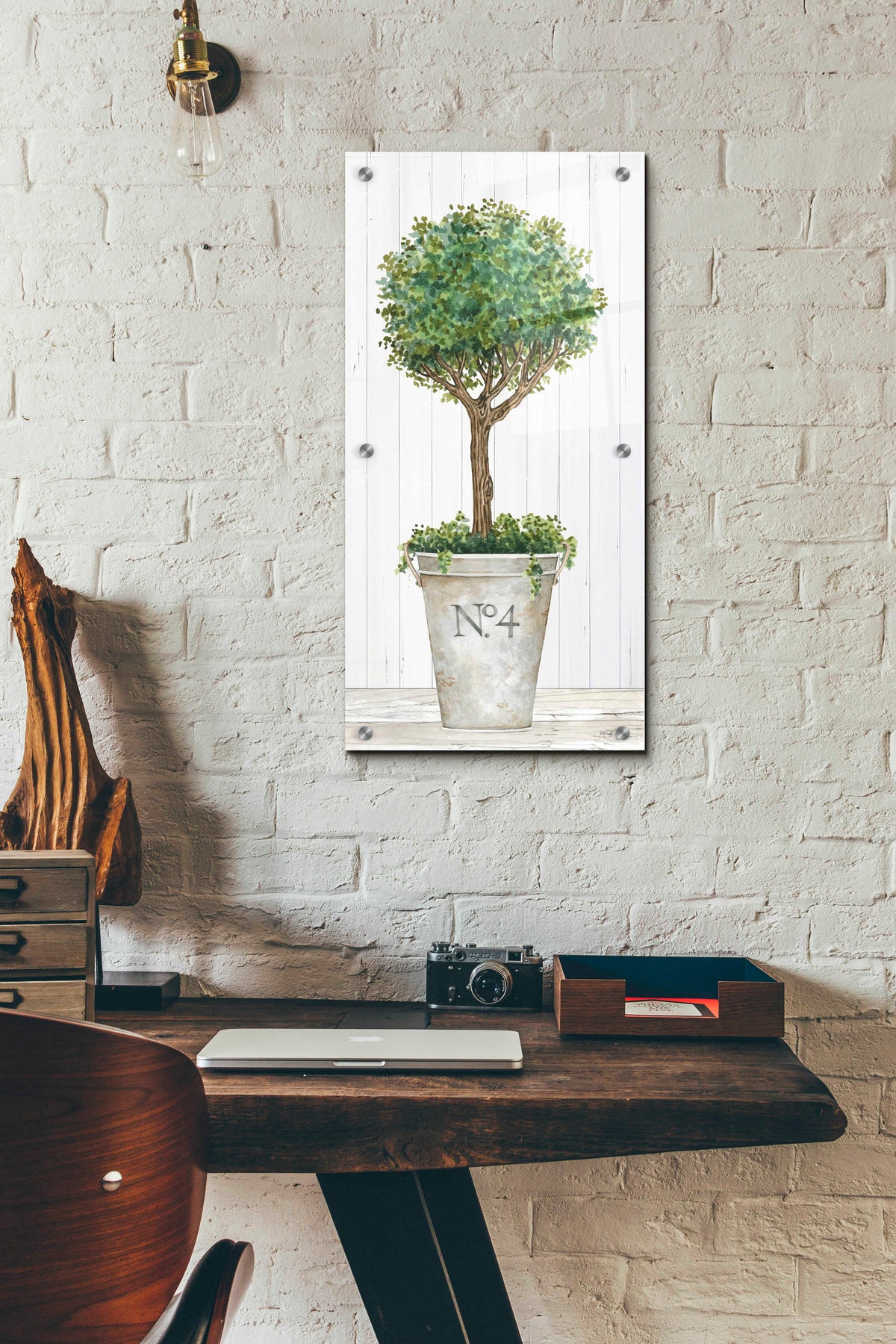 Epic Art 'Magnificent Topiary II' by Cindy Jacobs, Acrylic Glass Wall Art,12x24