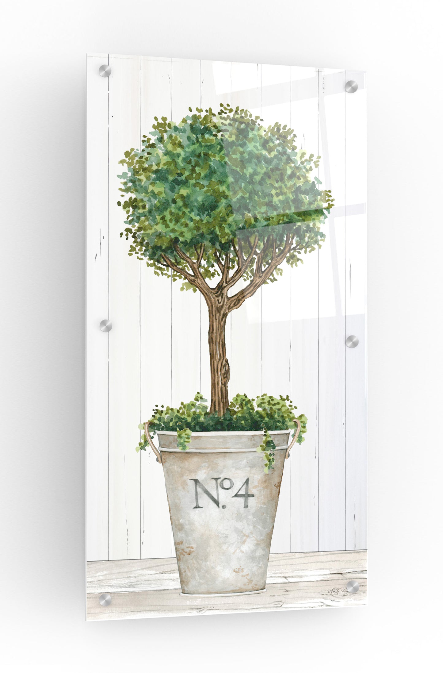 Epic Art 'Magnificent Topiary II' by Cindy Jacobs, Acrylic Glass Wall Art,12x24