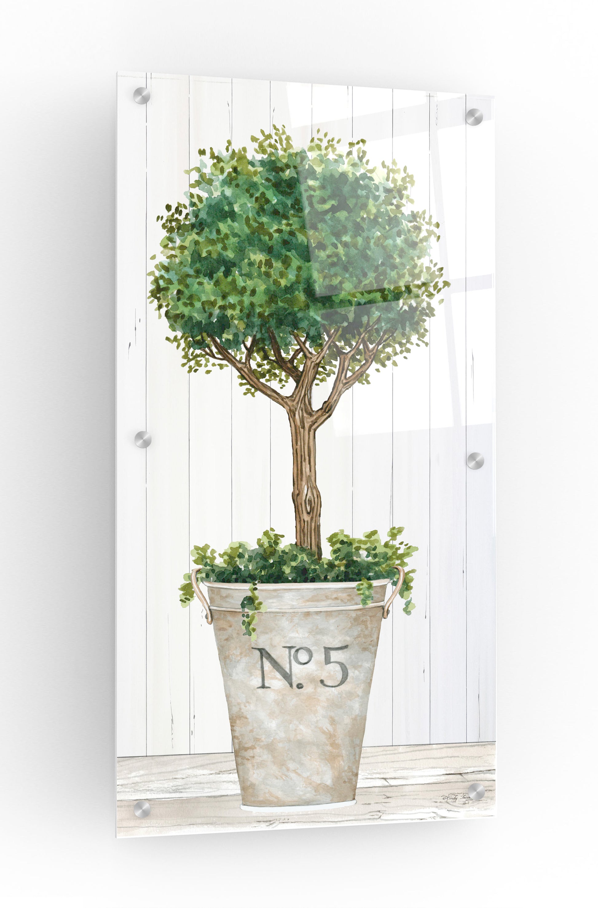 Epic Art 'Magnificent Topiary III' by Cindy Jacobs, Acrylic Glass Wall Art,12x24