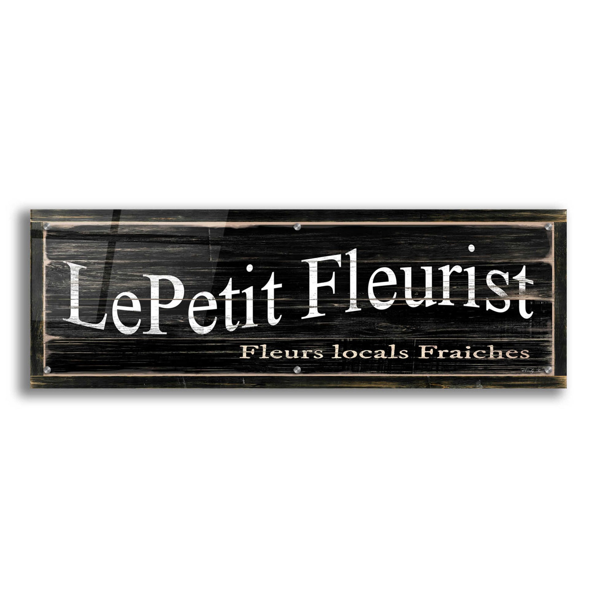 Epic Art 'LePetit Fleurist' by Cindy Jacobs, Acrylic Glass Wall Art,36x12