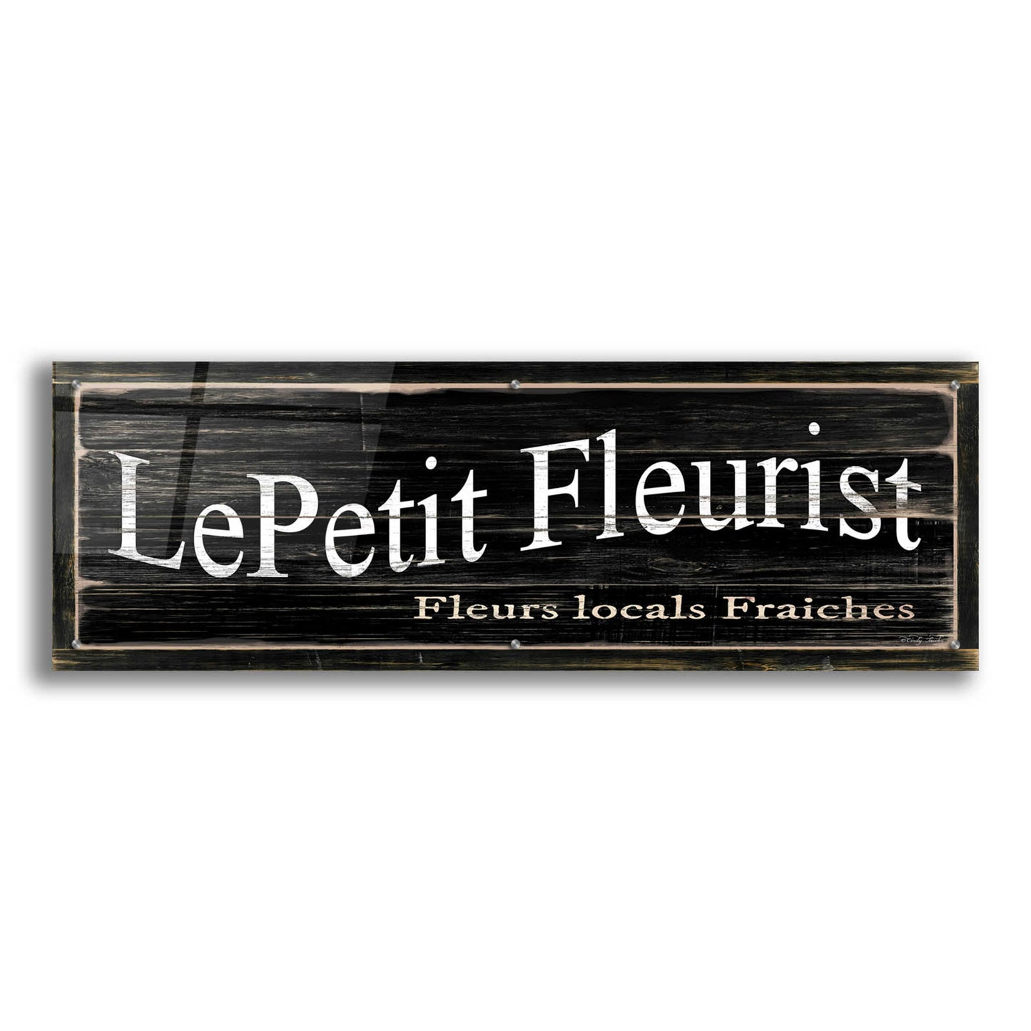 Epic Art 'LePetit Fleurist' by Cindy Jacobs, Acrylic Glass Wall Art,48x16