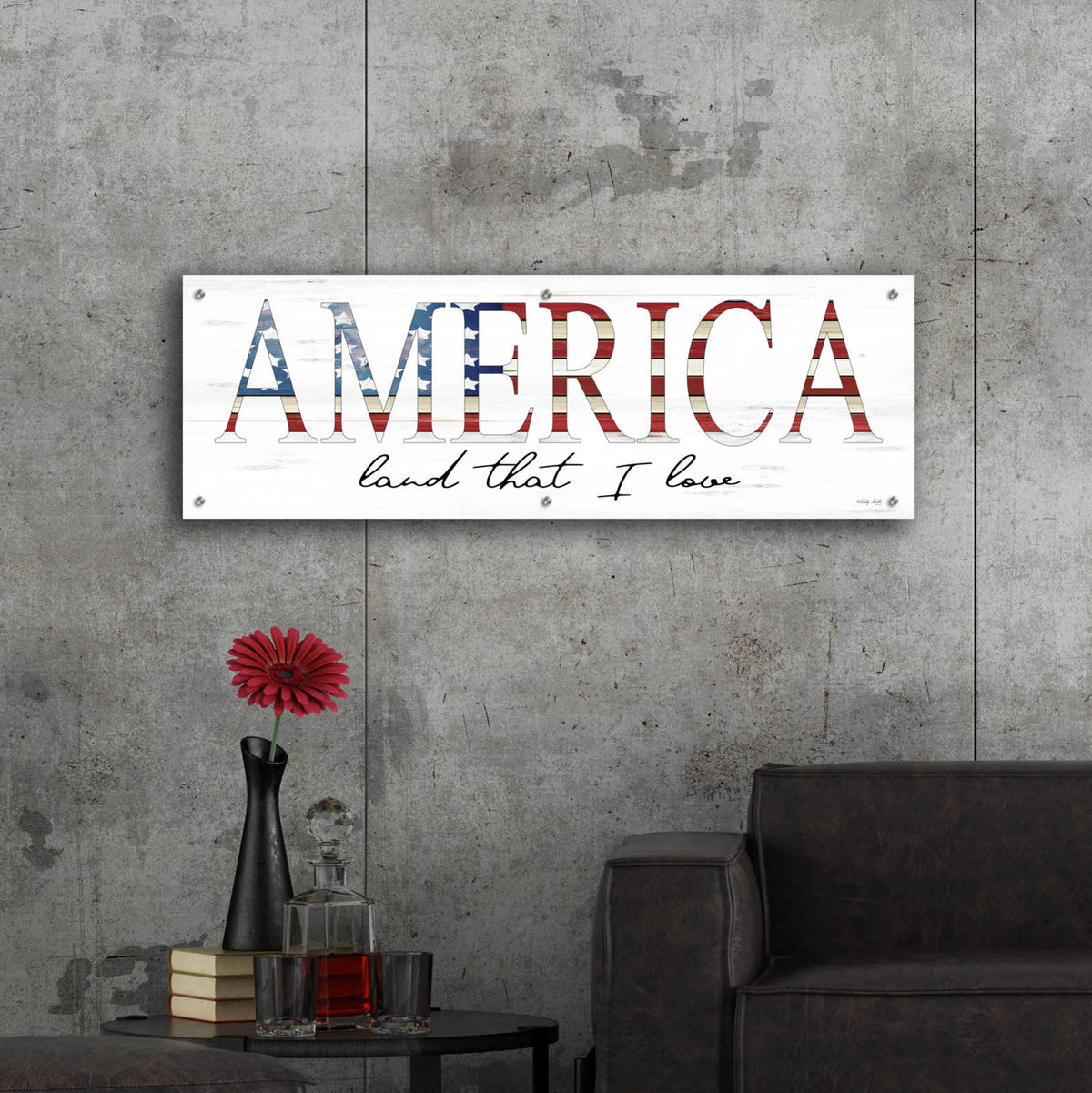 Epic Art 'America Land That I Love' by Cindy Jacobs, Acrylic Glass Wall Art,48x16