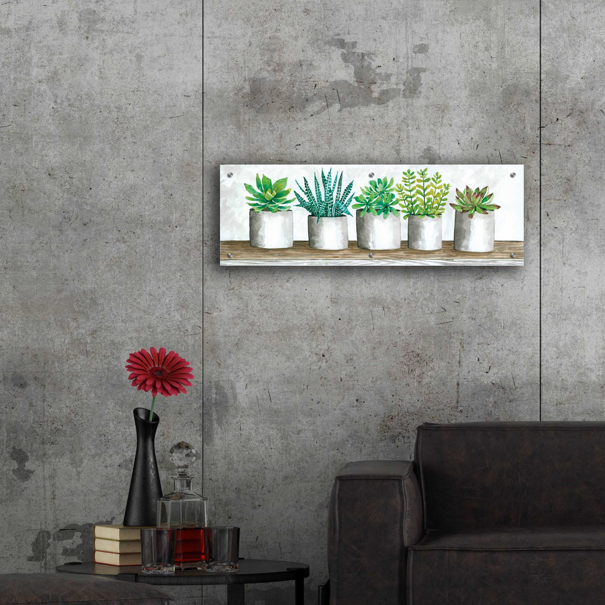 Epic Art 'Succulent Pots' by Cindy Jacobs, Acrylic Glass Wall Art,36x12