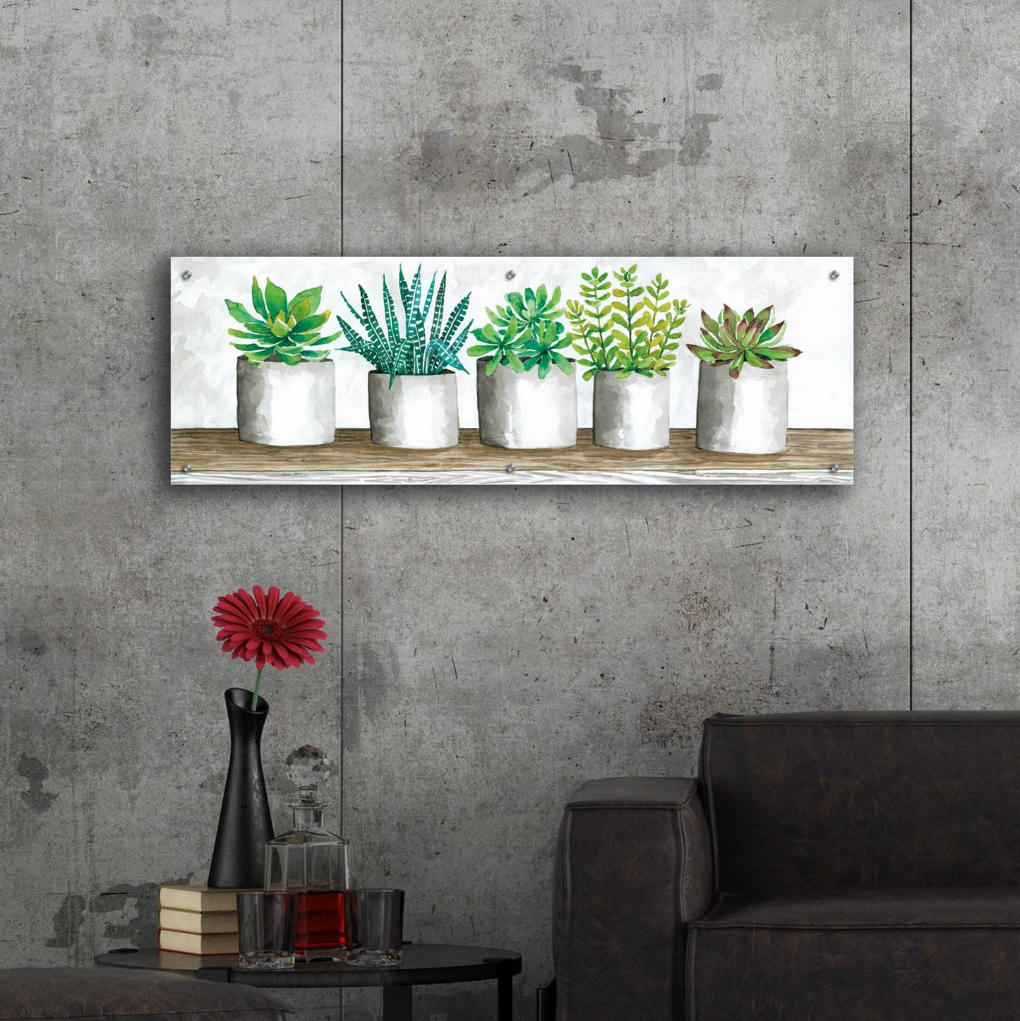 Epic Art 'Succulent Pots' by Cindy Jacobs, Acrylic Glass Wall Art,48x16