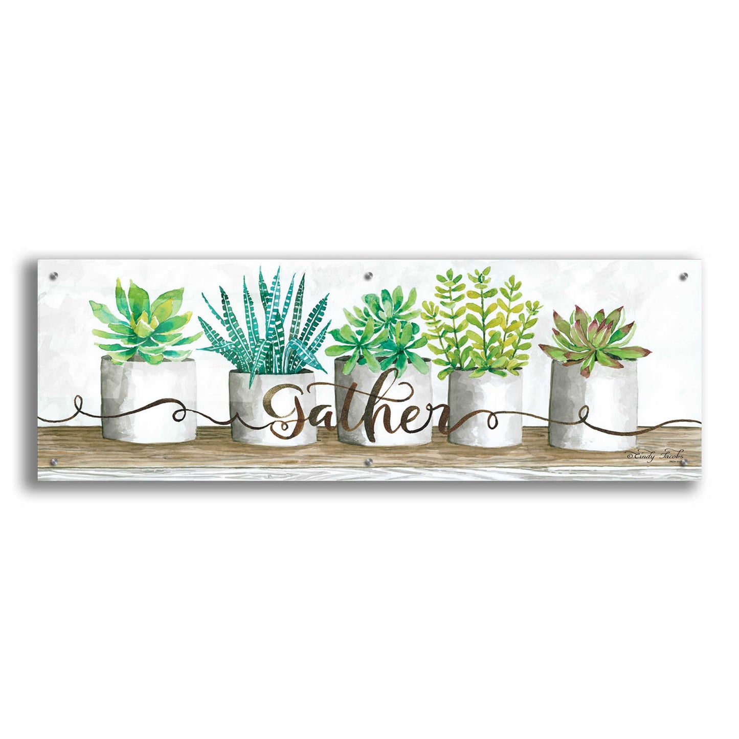 Epic Art 'Gather Succulent Pots' by Cindy Jacobs, Acrylic Glass Wall Art,48x16