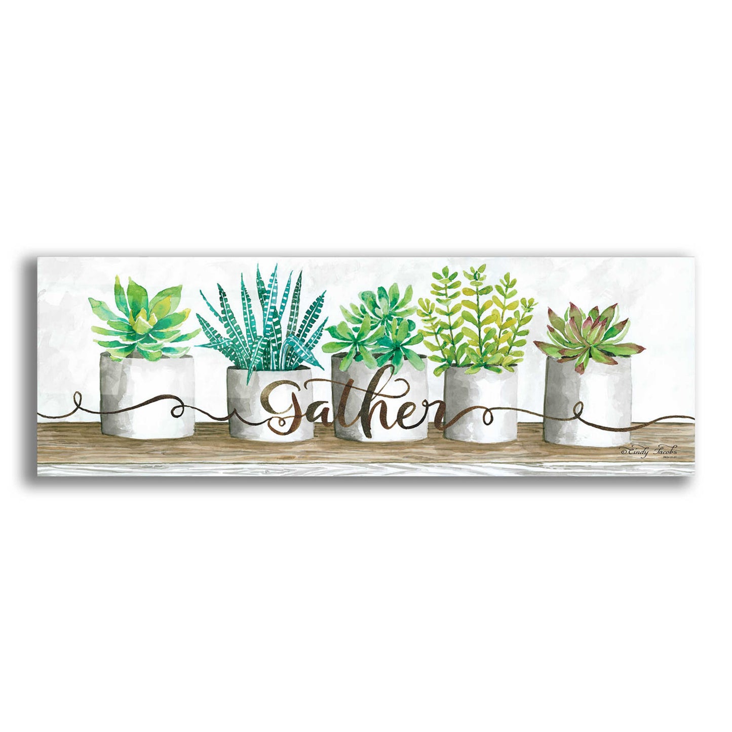 Epic Art 'Gather Succulent Pots' by Cindy Jacobs, Acrylic Glass Wall Art