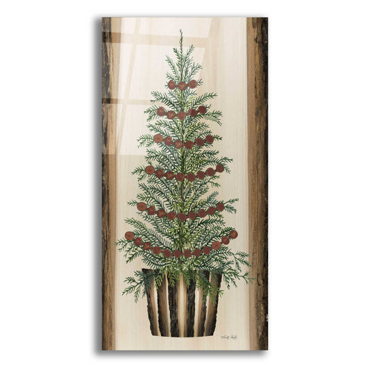 Epic Art 'Wood Land Spruce Tree' by Cindy Jacobs, Acrylic Glass Wall Art