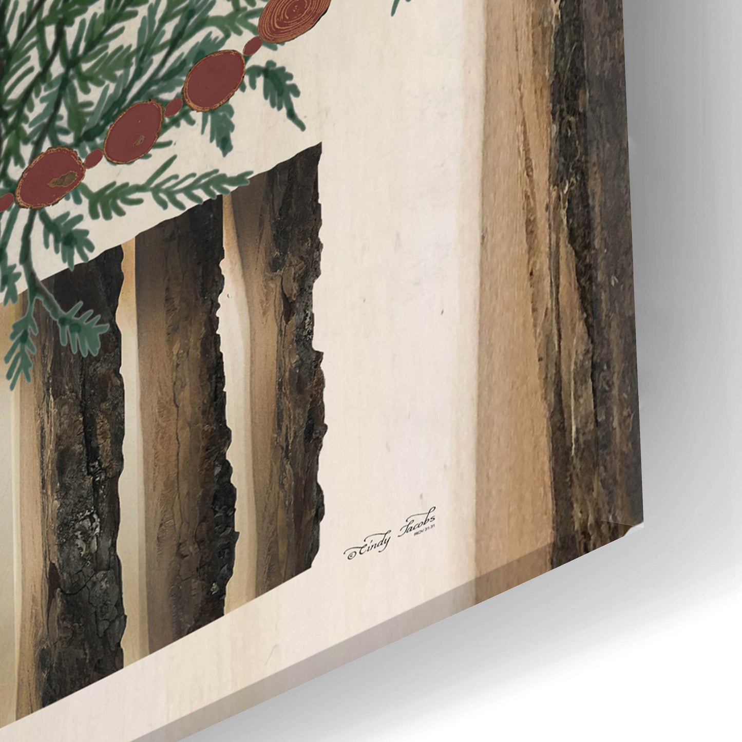 Epic Art 'Wood Land Cedar Tree' by Cindy Jacobs, Acrylic Glass Wall Art,12x24