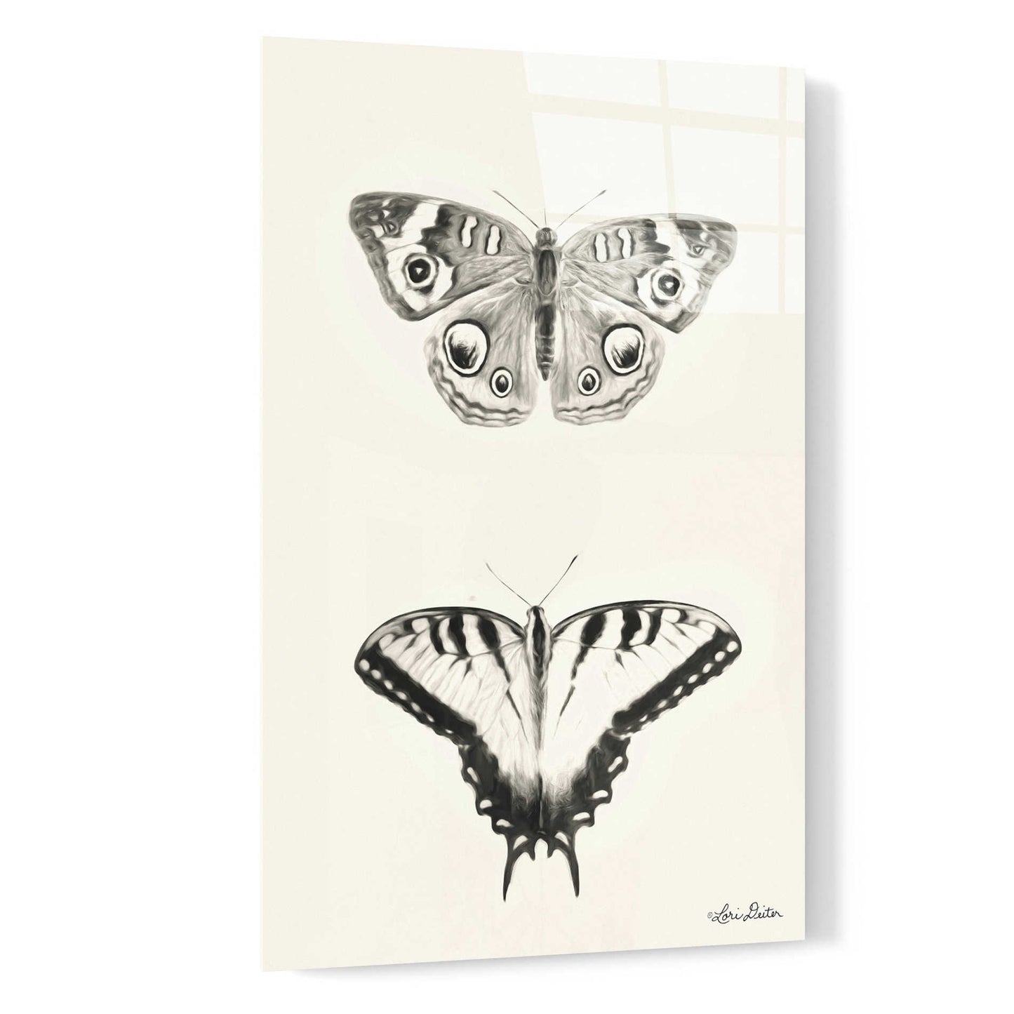 Epic Art 'Butterflies' by Lori Deiter, Acrylic Glass Wall Art,16x24