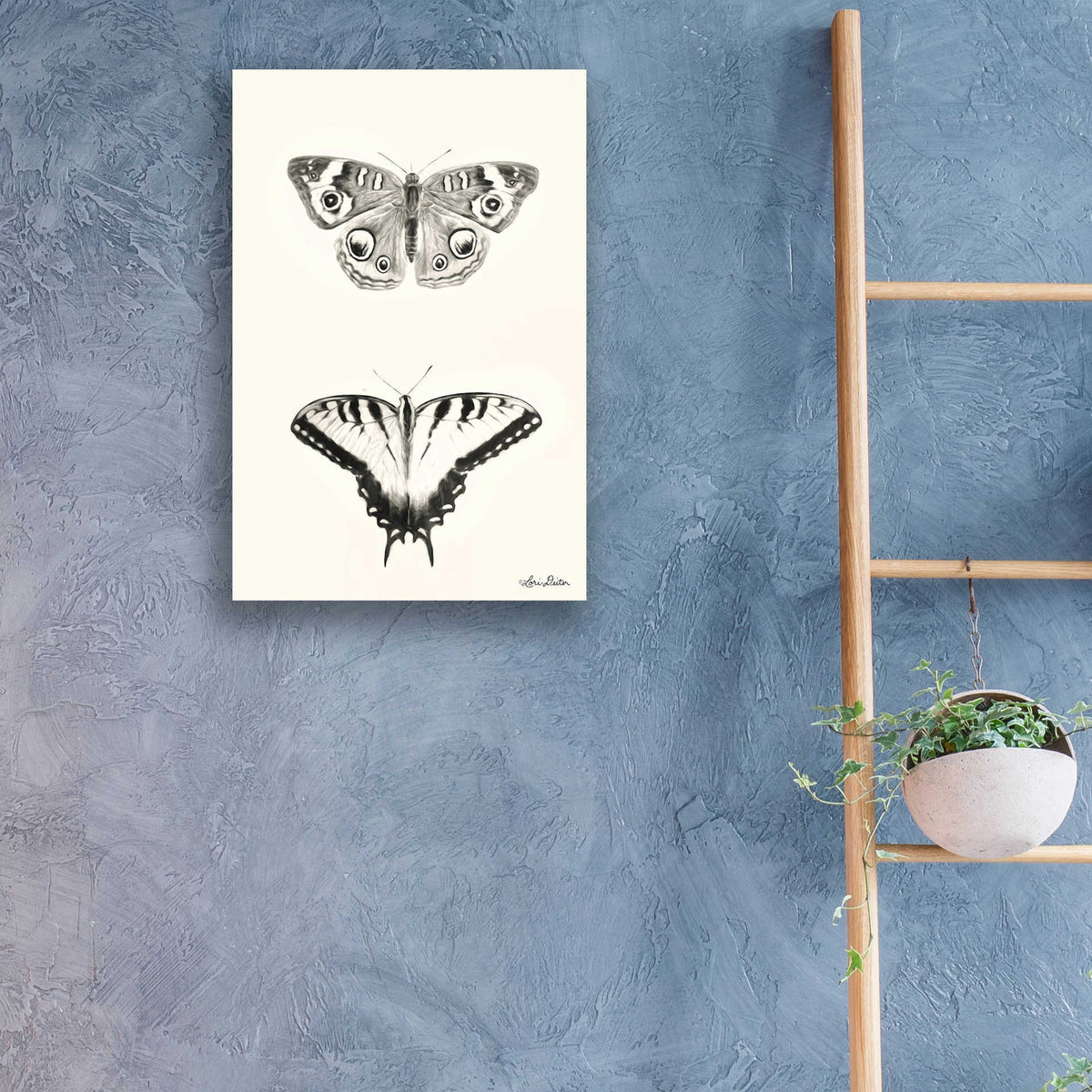 Epic Art 'Butterflies' by Lori Deiter, Acrylic Glass Wall Art,16x24