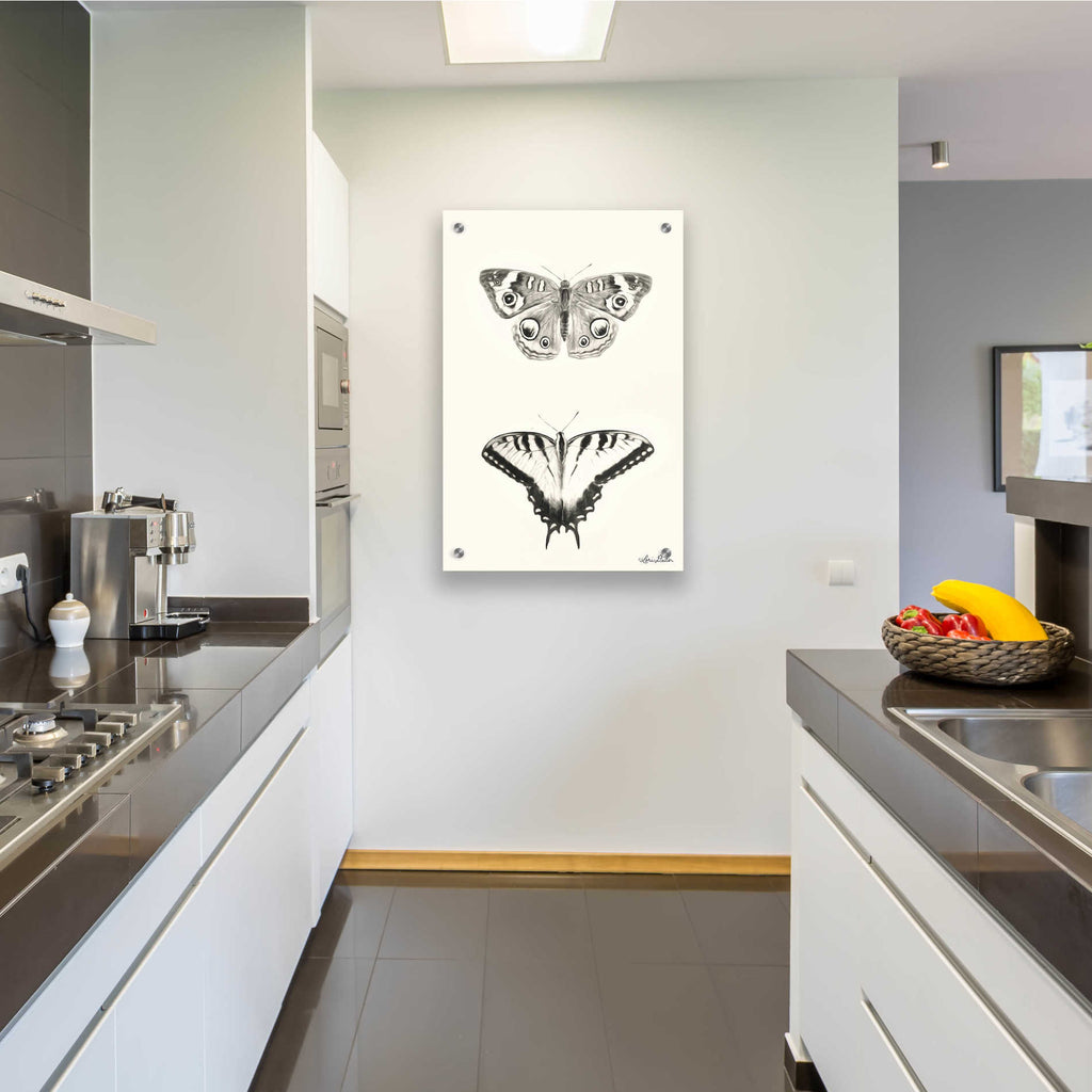 Epic Art 'Butterflies' by Lori Deiter, Acrylic Glass Wall Art,24x36