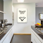 Epic Art 'Butterflies' by Lori Deiter, Acrylic Glass Wall Art,24x36