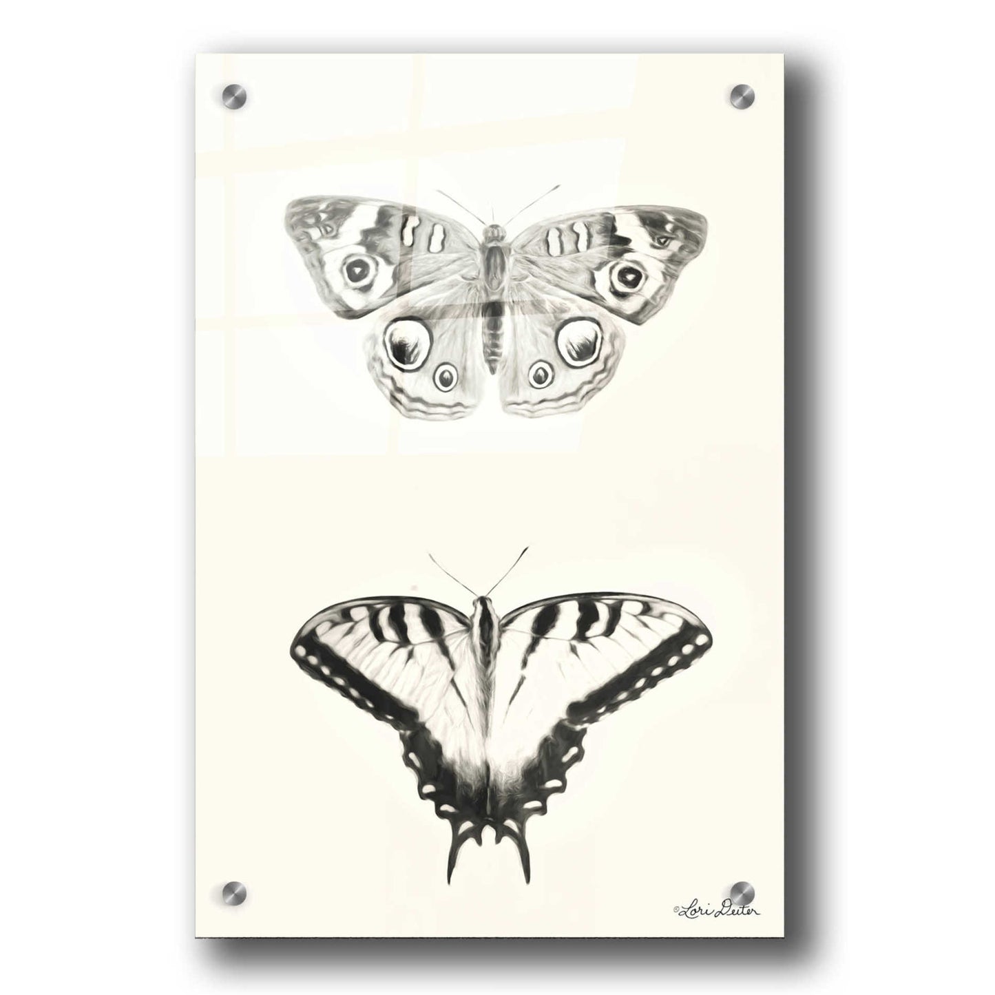 Epic Art 'Butterflies' by Lori Deiter, Acrylic Glass Wall Art,24x36