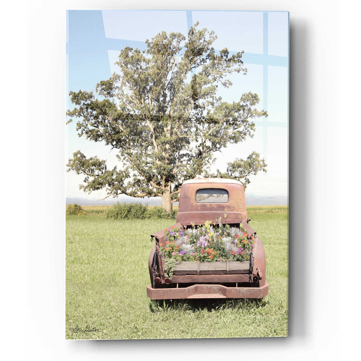 Epic Art 'Field of Dreams' by Lori Deiter, Acrylic Glass Wall Art