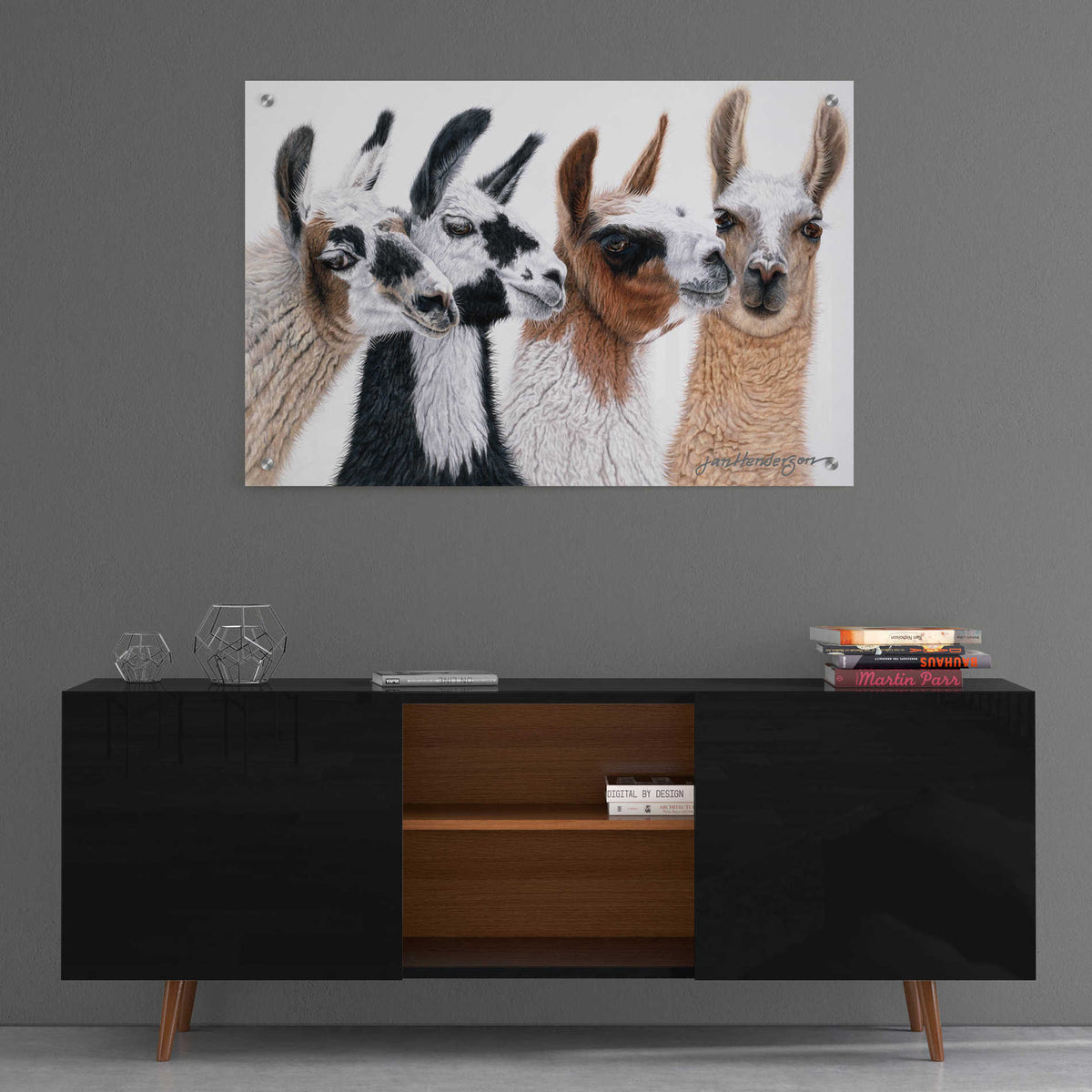 Epic Art 'Peruvian Visitors' by Jan Henderson, Acrylic Glass Wall Art,36x24