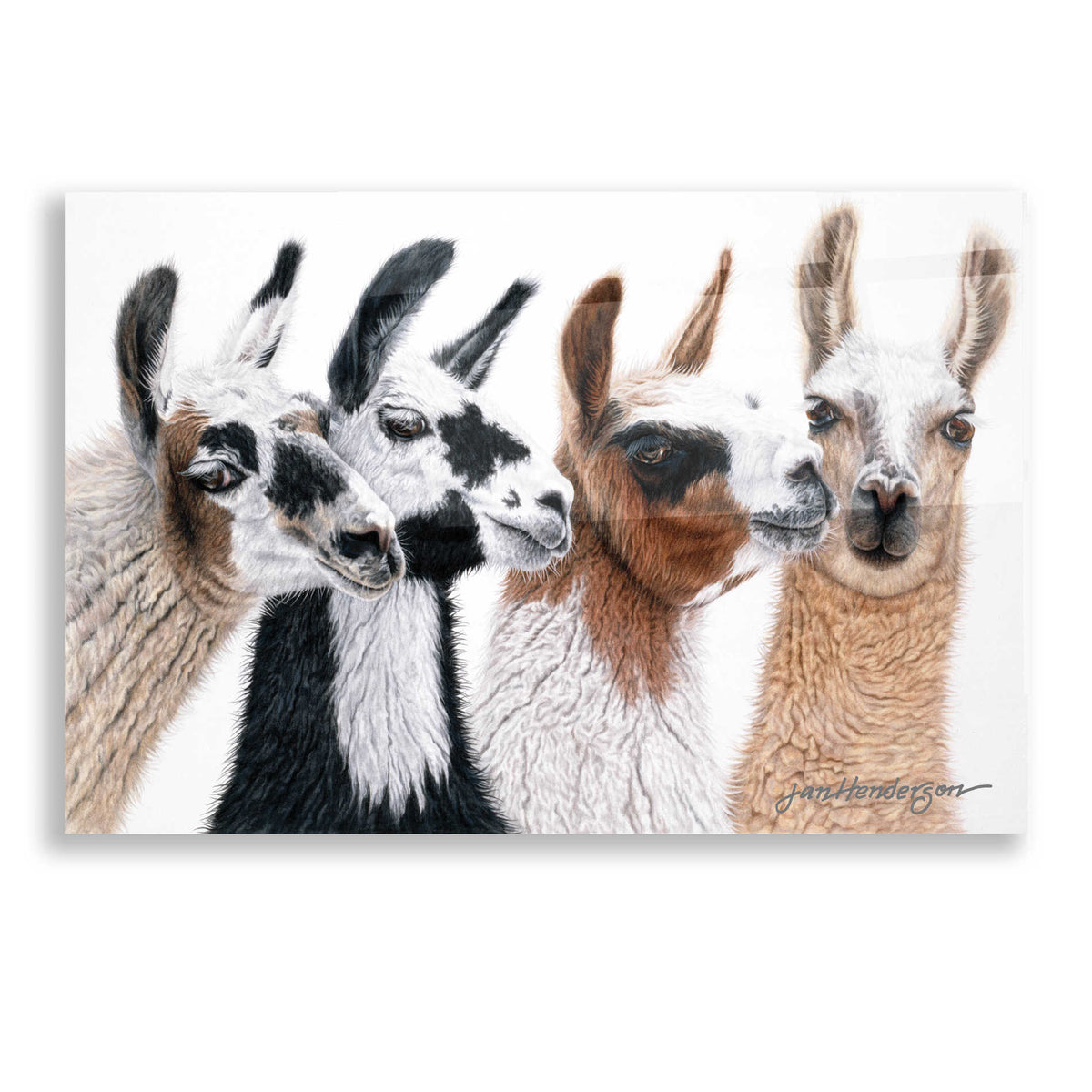 Epic Art 'Peruvian Visitors' by Jan Henderson, Acrylic Glass Wall Art