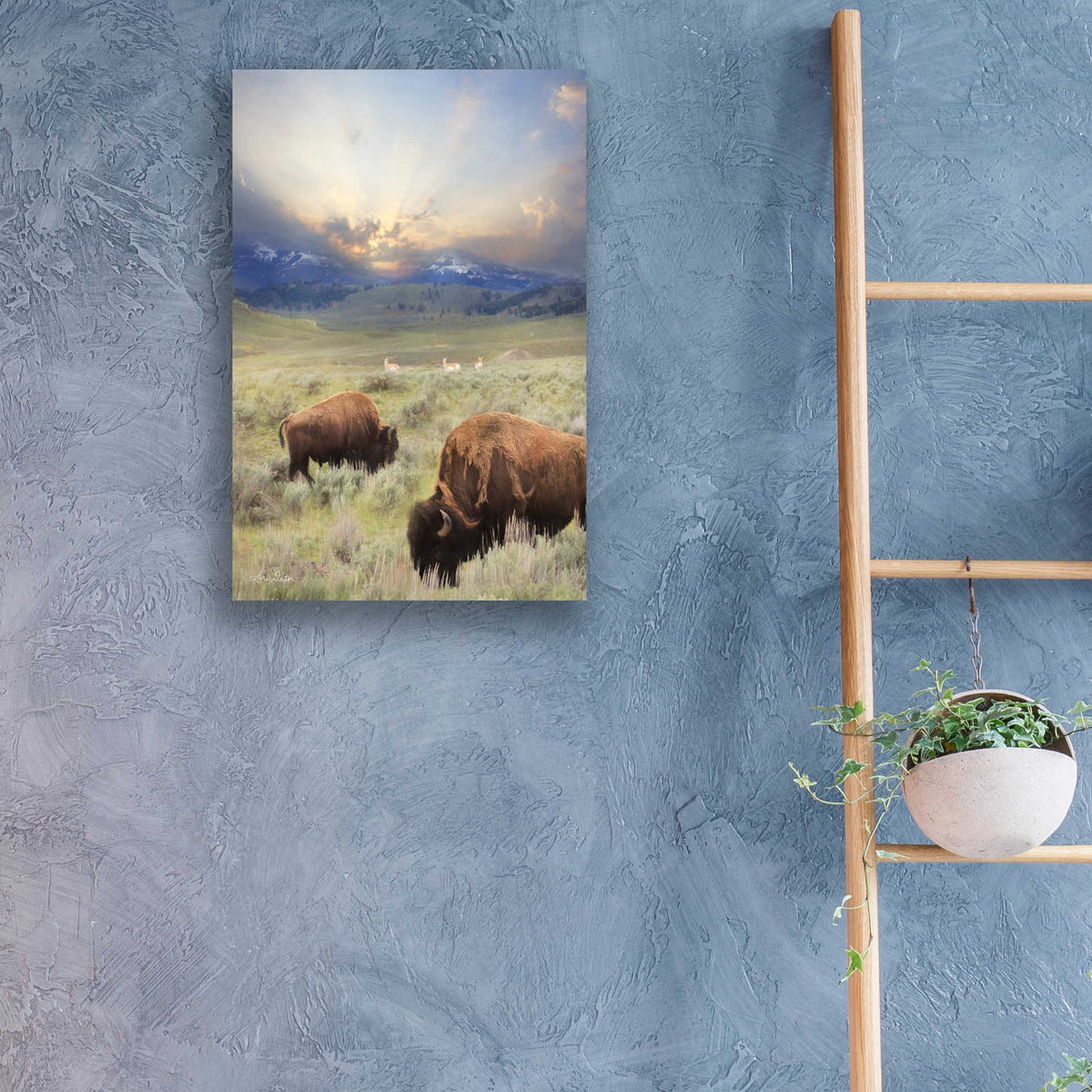 Epic Art 'Great American West' by Lori Deiter, Acrylic Glass Wall Art,16x24