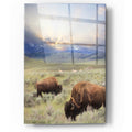 Epic Art 'Great American West' by Lori Deiter, Acrylic Glass Wall Art