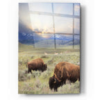 Epic Art 'Great American West' by Lori Deiter, Acrylic Glass Wall Art