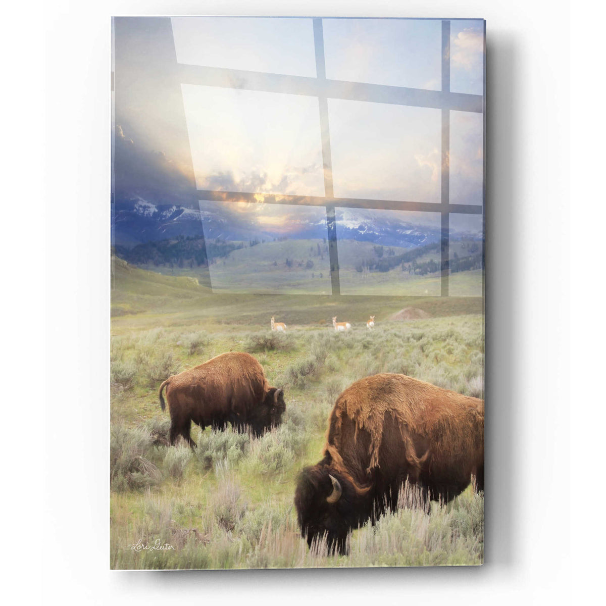 Epic Art 'Great American West' by Lori Deiter, Acrylic Glass Wall Art