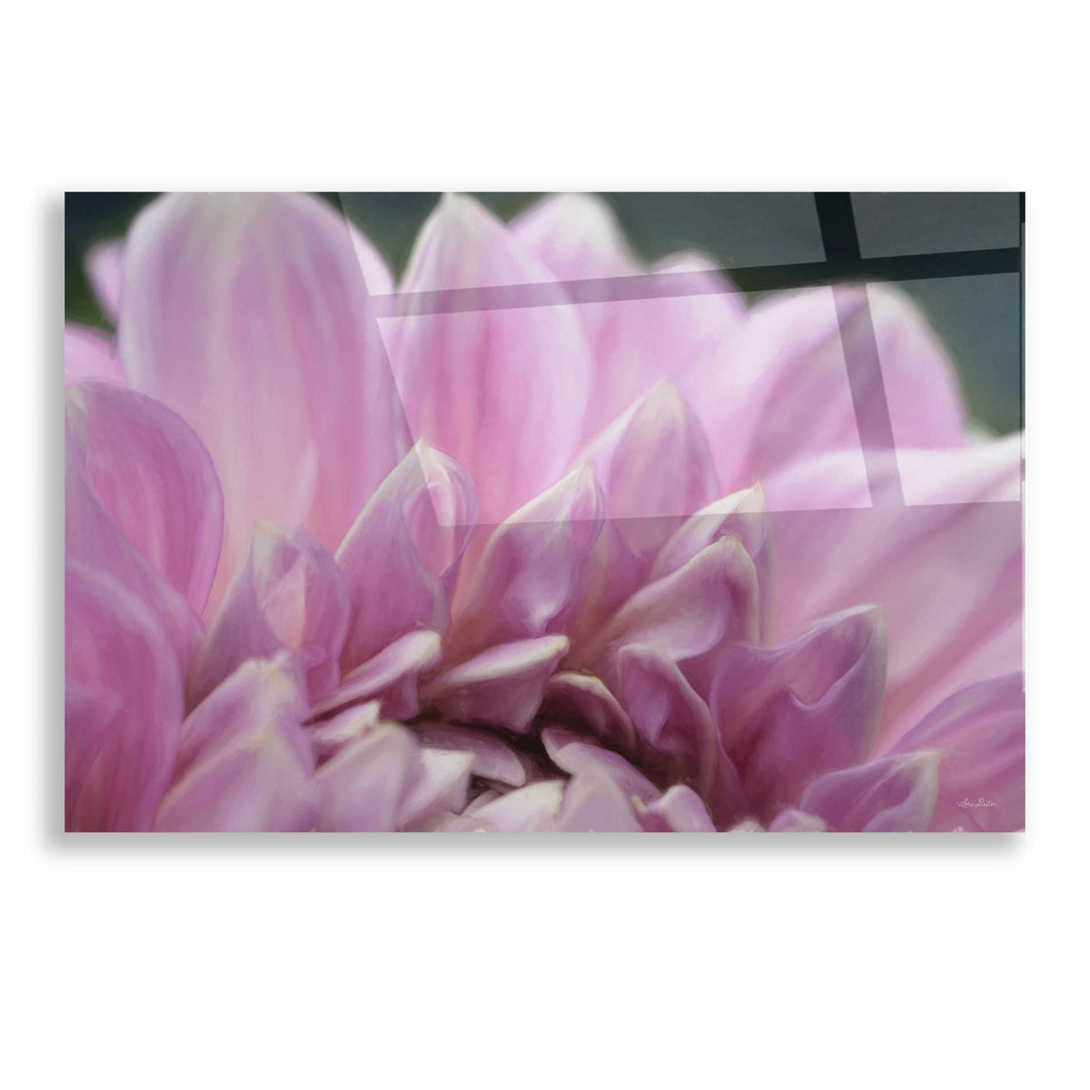 Epic Art 'A Fresh Start' by Lori Deiter, Acrylic Glass Wall Art