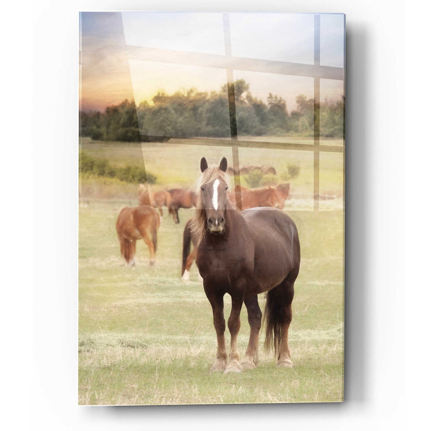 Epic Art 'Jackson Horse Farm' by Lori Deiter, Acrylic Glass Wall Art,12x16