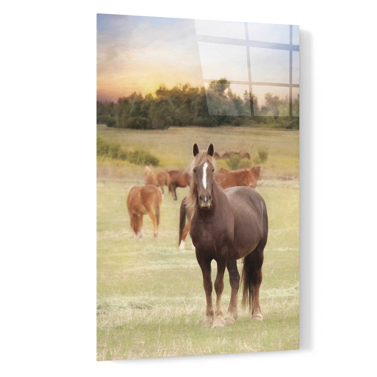Epic Art 'Jackson Horse Farm' by Lori Deiter, Acrylic Glass Wall Art,16x24