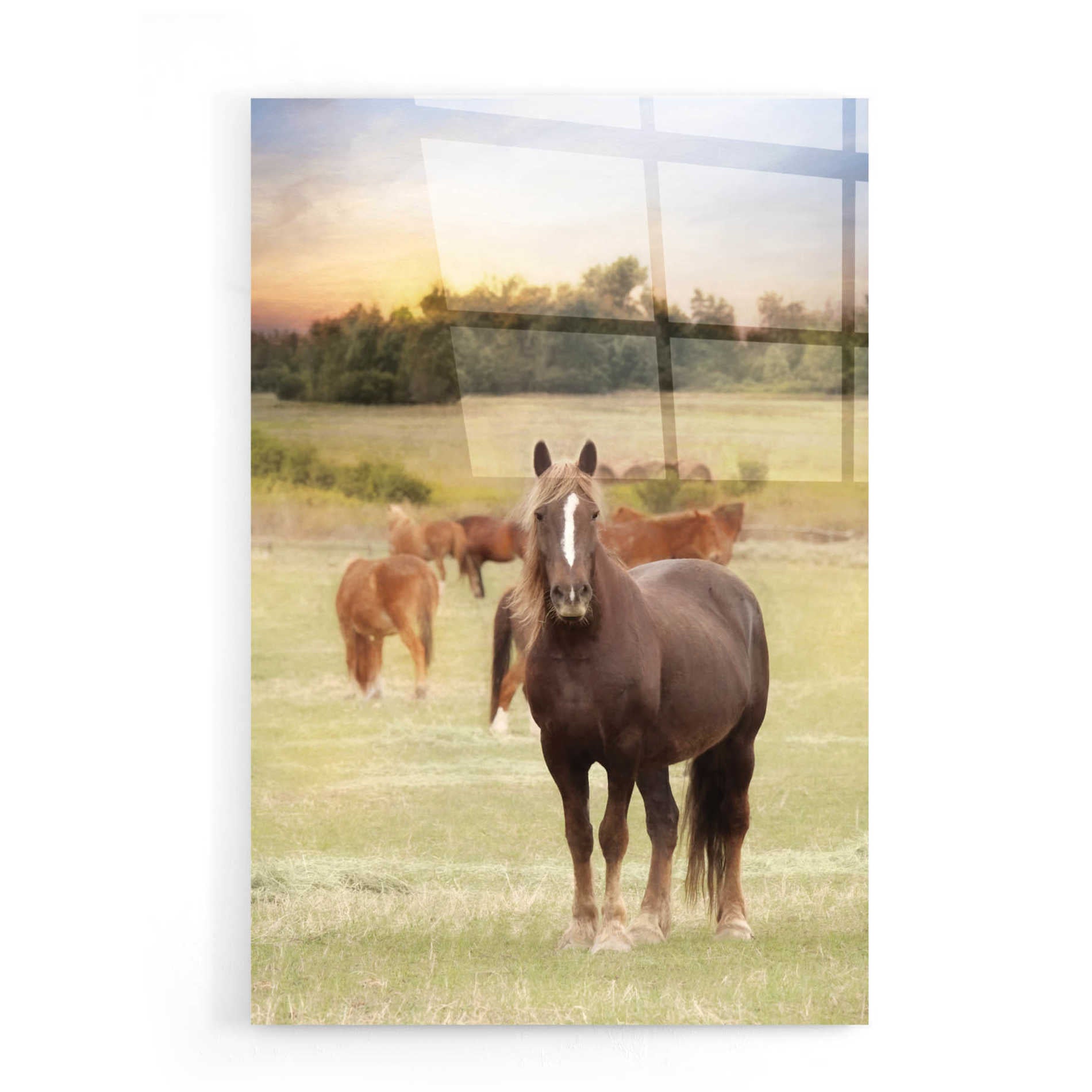 Epic Art 'Jackson Horse Farm' by Lori Deiter, Acrylic Glass Wall Art,16x24
