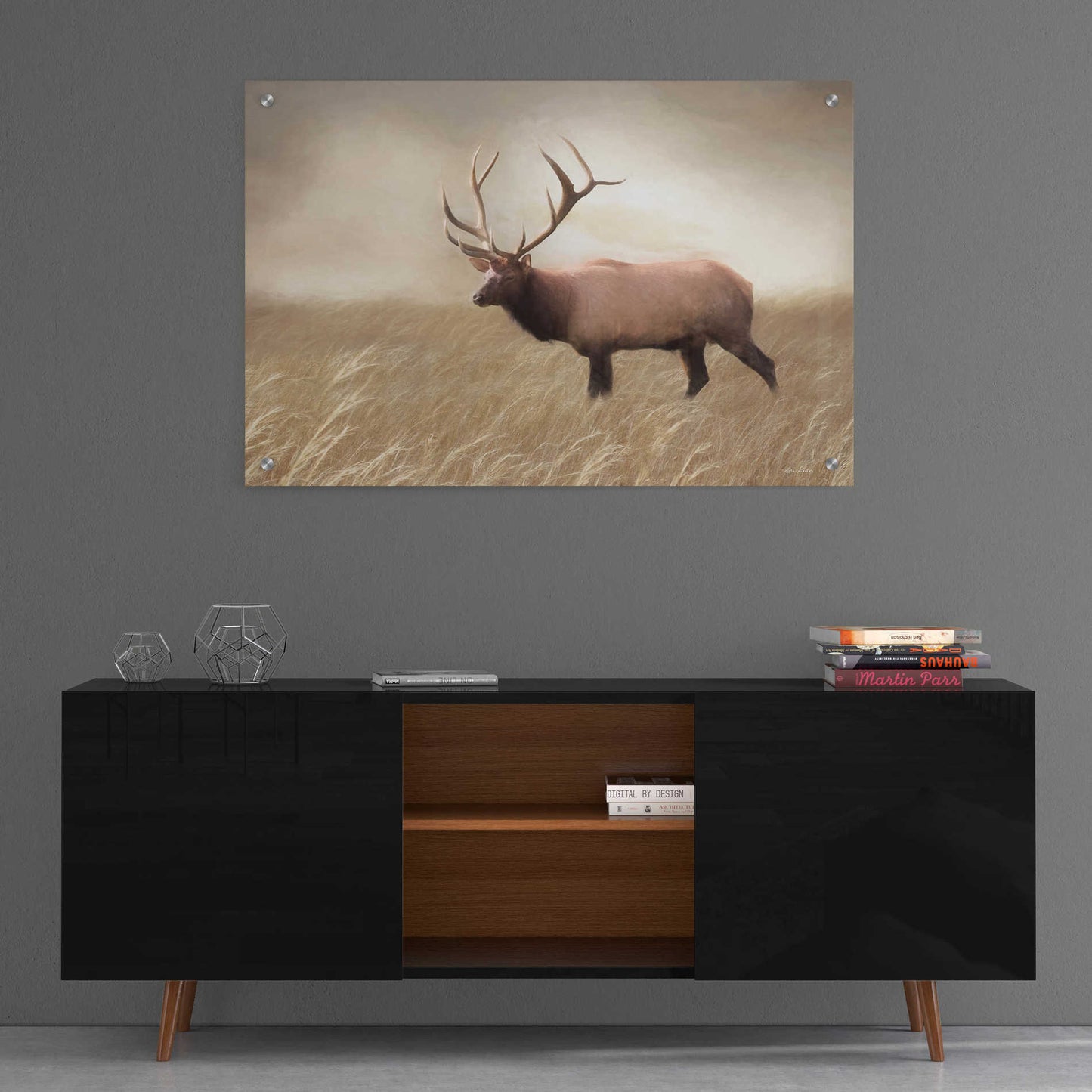 Epic Art 'Elk in the Field' by Lori Deiter, Acrylic Glass Wall Art,36x24