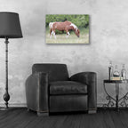 Epic Art 'Assateague Horse' by Lori Deiter, Acrylic Glass Wall Art,24x16