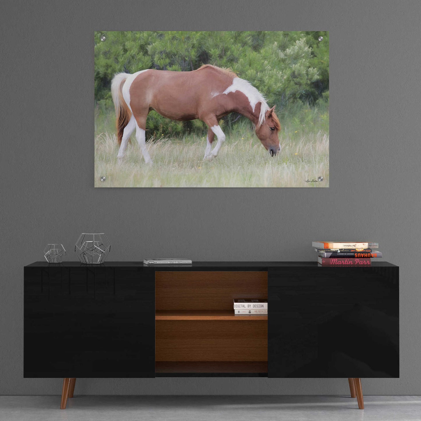 Epic Art 'Assateague Horse' by Lori Deiter, Acrylic Glass Wall Art,36x24