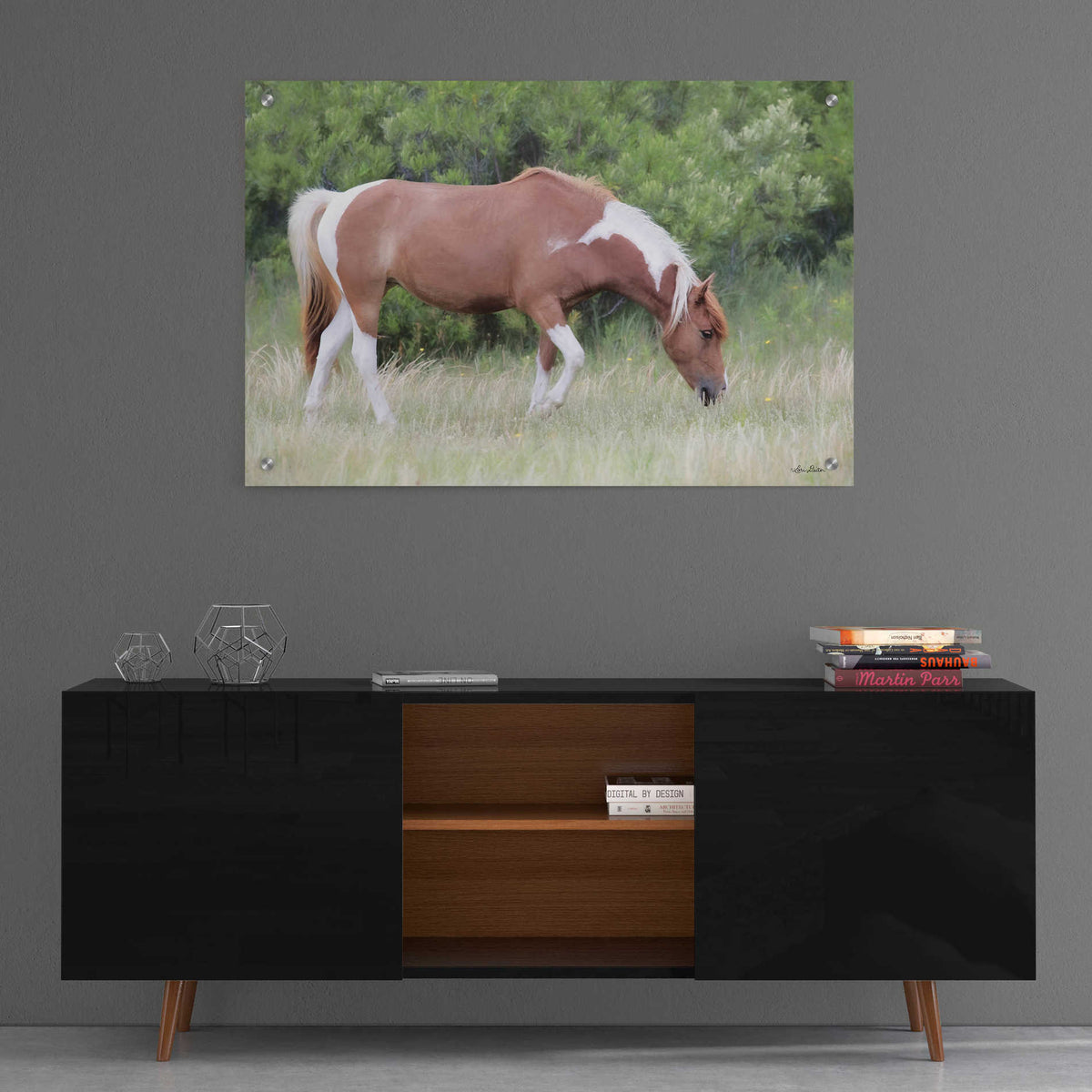 Epic Art 'Assateague Horse' by Lori Deiter, Acrylic Glass Wall Art,36x24
